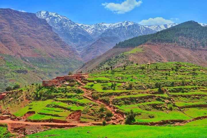 Private Atlas Mountains Day Trip