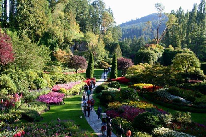 Butchart Gardens and City Tour