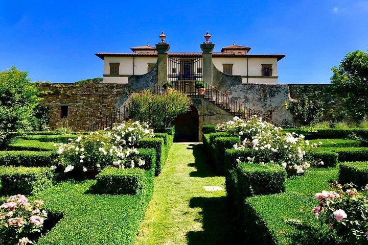 SMALL-GROUP Wine Safaris: Tuscany Wine Tasting Tour from Florence
