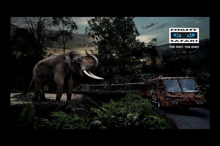 Night Safari in Singapore with Tram Ride