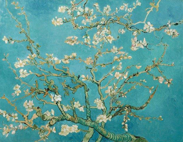 Combo Ticket: Van Gogh Museum Ticket and 1-Hour Canal Cruise