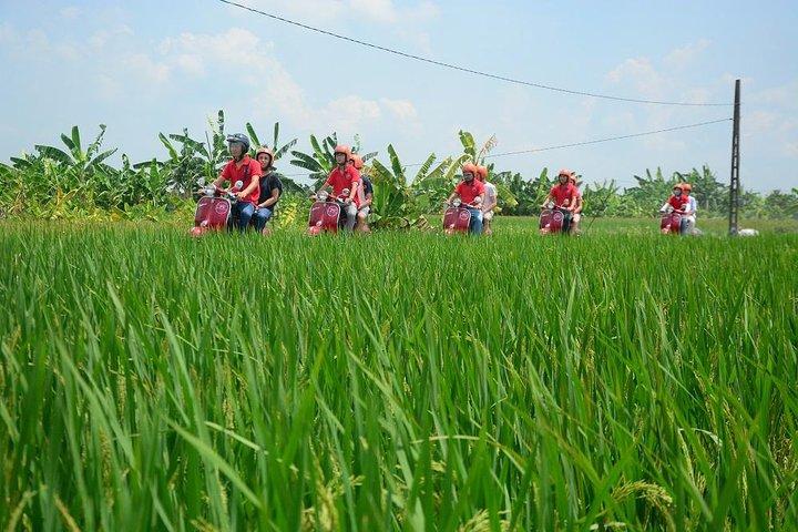 Hanoi Vespa Tours: Hanoi Vintage Vespa Tours Countryside