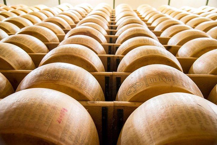 Guided group tour TastyBus: Parmesan Cheese and Parma Ham