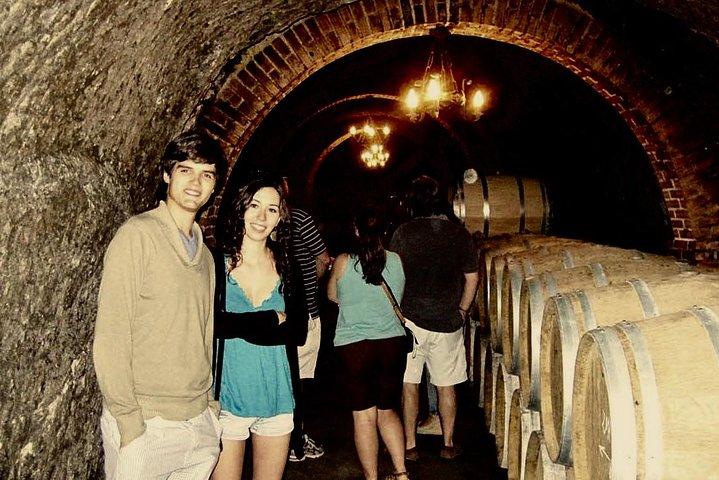 Ribera del Duero Winery Guided Tour and Wine Tasting from Madrid