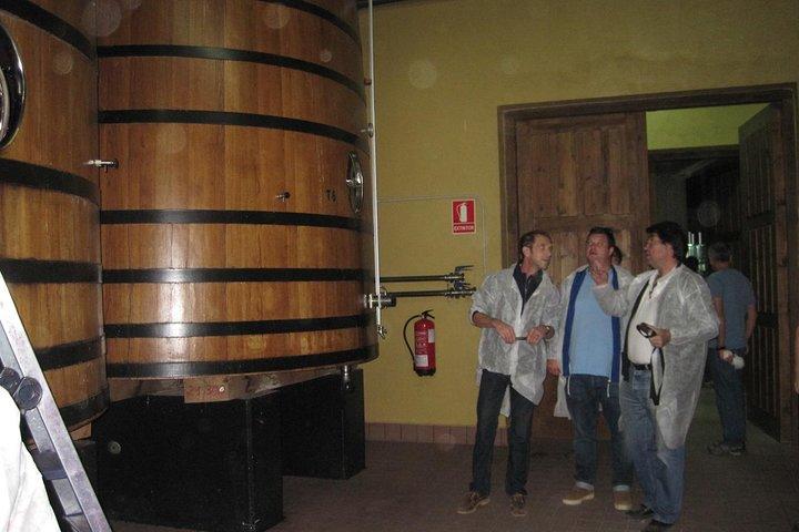 Ribera del Duero Winery Guided Tour and Wine Tasting from Madrid