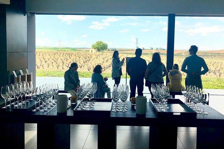 Ribera del Duero Winery Guided Tour and Wine Tasting from Madrid