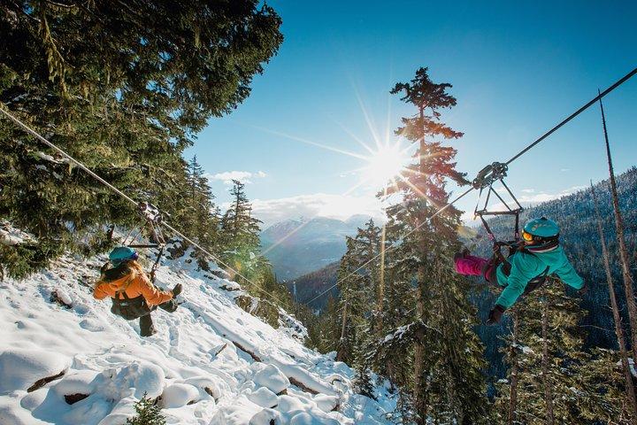 Superfly Ziplines on Cougar Mountain - Includes 4 Ziplines!