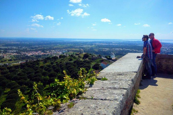 Lisbon & The South Side Wine Regions Private Luxury Tour