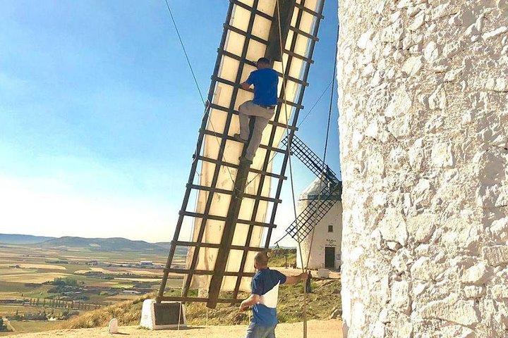 Windmills of Don Quixote Wine Tour & Tasting from Madrid