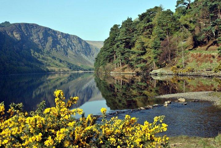 Wicklow tour of Glendalough