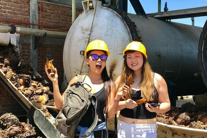 3 Hours Private Tour Guide in Guadalajara