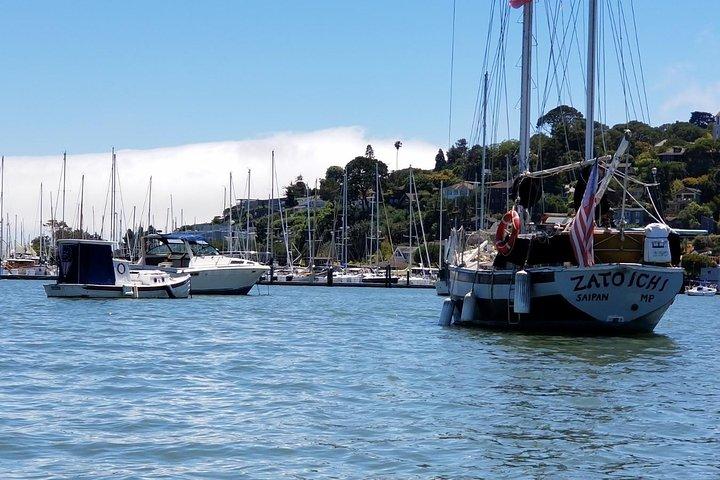 Muir Woods and Sausalito Afternoon Tour Small-Group Half-Day