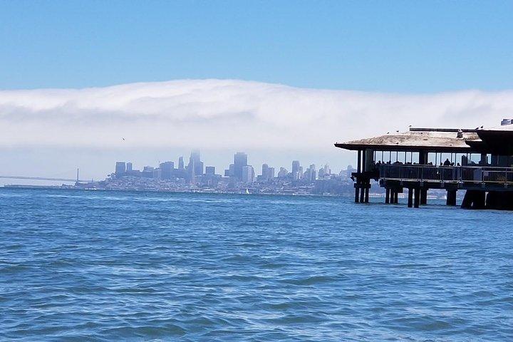 Muir Woods and Sausalito Afternoon Tour Small-Group Half-Day