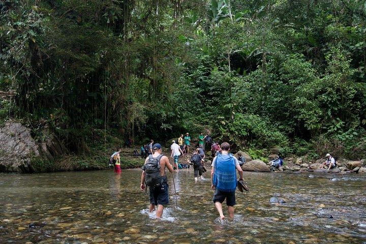 Ciudad Perdida 4-Day trek from Santa Marta
