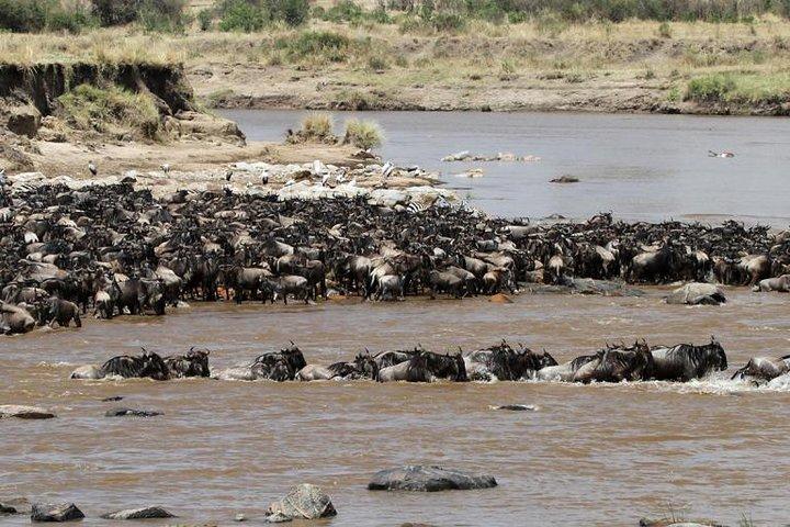 12 Days Amazing Tanzania Wildlife and Cultural Experience