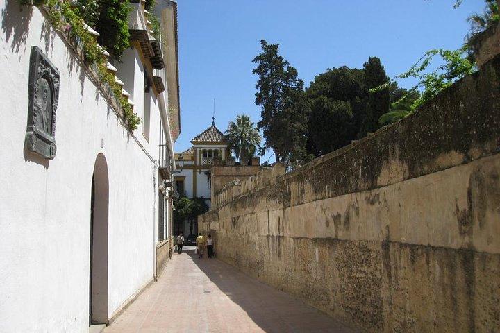 Full Day in Seville : Historic Center and Triana with Local Guide