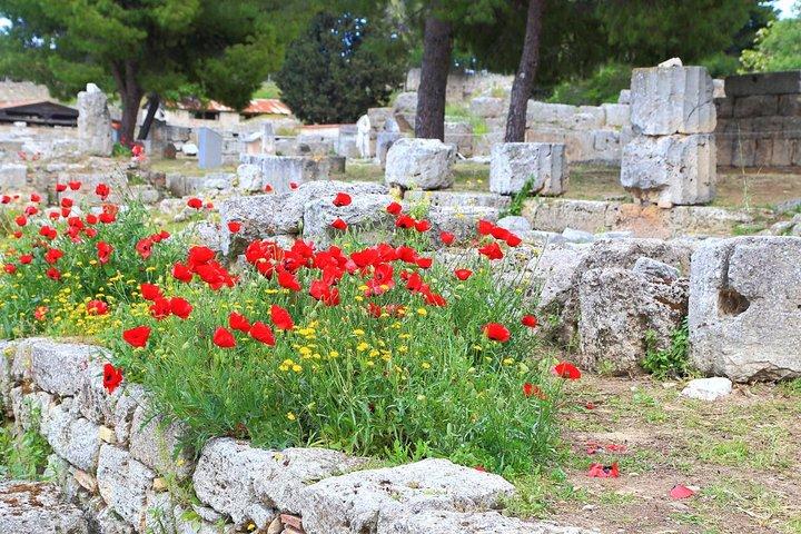 Ancient Corinth & Nafplion One-Day Tour from Athens