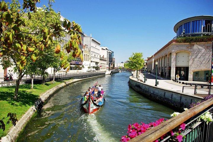 Private Tour: Coimbra (World Heritage) & Aveiro (Little Venice) tour day trip from Lisbon with lunch