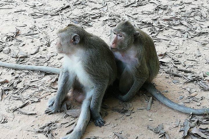 Private Tour to Koh ker and Beng Mealea Temple from Siem Reap