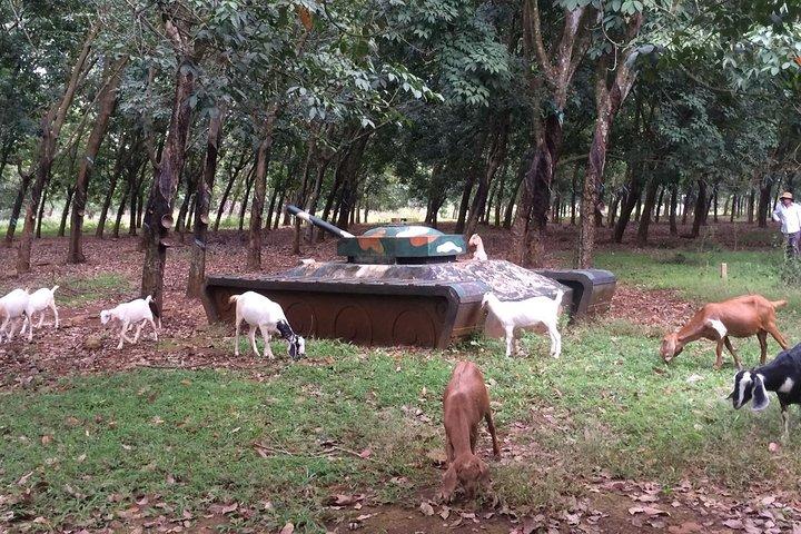Australian Base, Long Tan & Nui Dat Tour with Vung Tau Beach