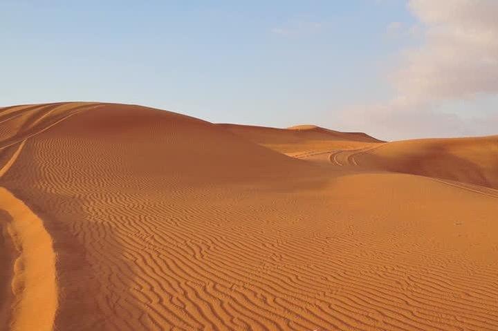 Premium Red Dunes Safari and Camel Safari with BBQ Dinner