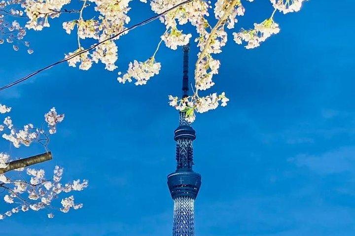 1 Day Private Charter Tokyo Tour (Green Number Plates)