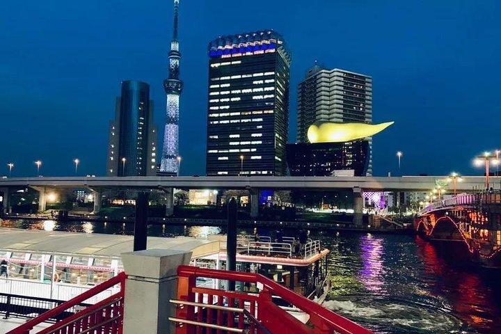 1 Day Private Charter Tokyo Tour (Green Number Plates)