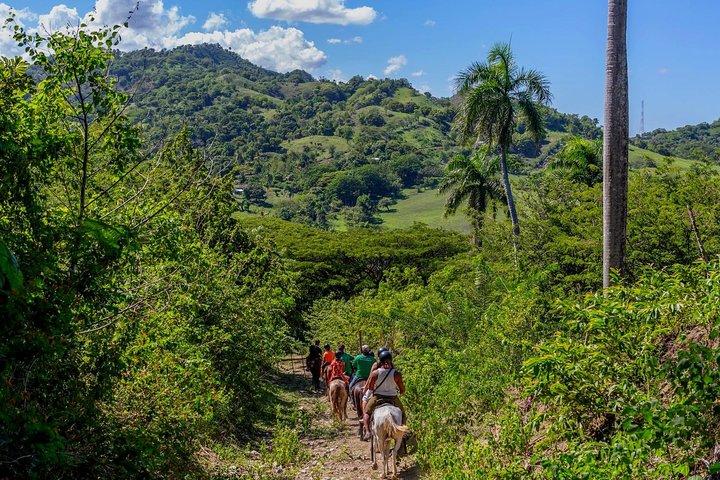 Puerto Plata:Waterfalls + Safari buggy + Horseback (TOP3IN1)