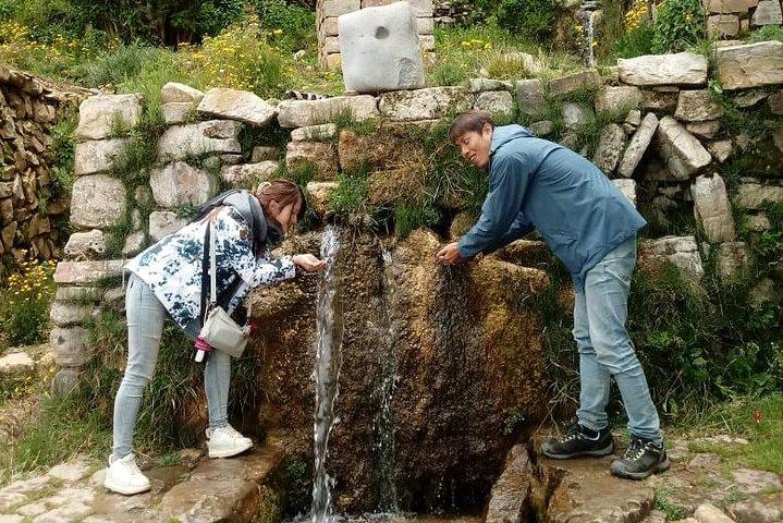 Private Full-Day Tour to Titicaca Lake and Copacabana Village from La Paz