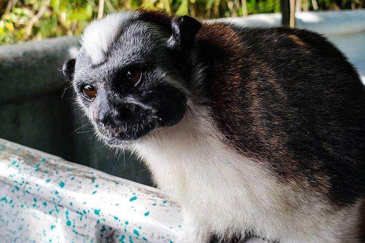 Full-Day Gatun Lake and Indian Village Tour from Panama City