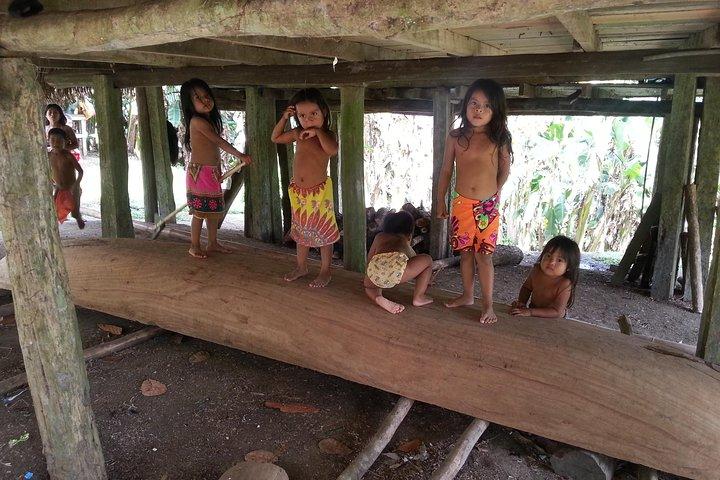 Full-Day Gatun Lake and Indian Village Tour from Panama City