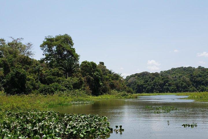 Full-Day Gatun Lake and Indian Village Tour from Panama City