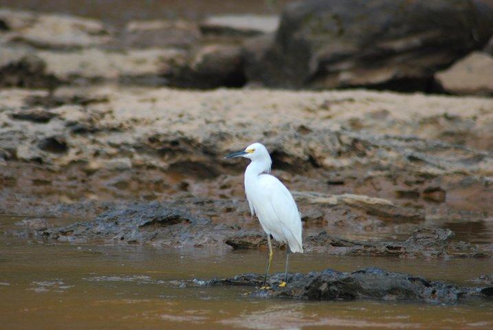 4-Day Amazon Jungle Tour at Eco Amazonia Lodge