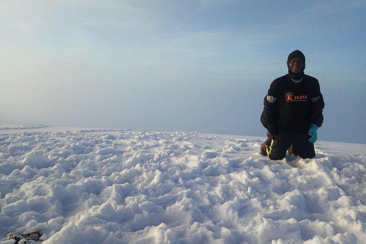 8 days Lemosho route Climbing Mt. Kilimanjaro