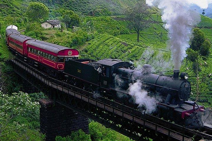 Discover Sri Lanka in eight days tour