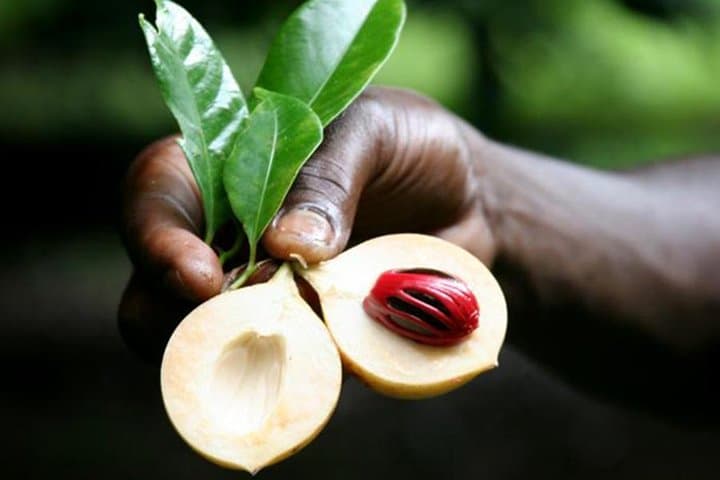 Stone Town & Spice Tour