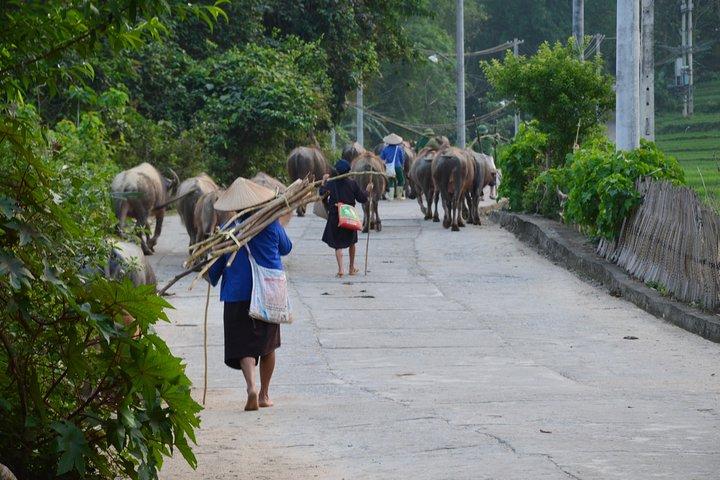 6-Day Off The Beaten Track Tour of North Vietnam from Hanoi