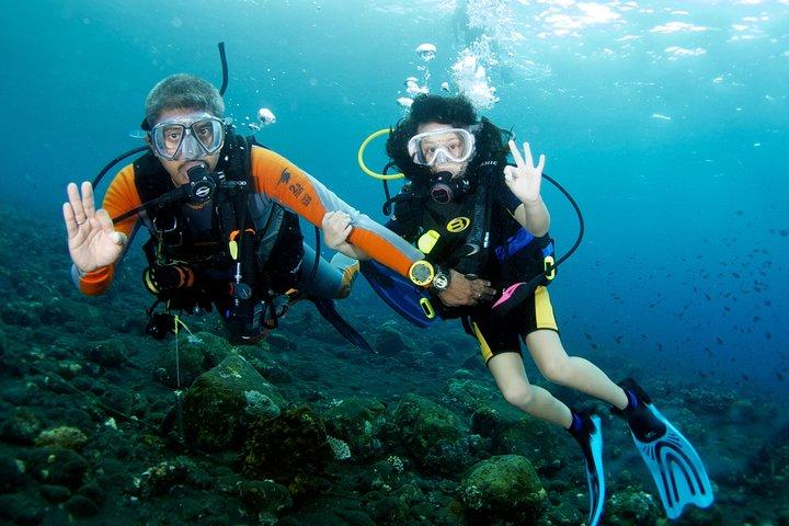 Scuba Diving Tour From Alanya - Side - Antalya