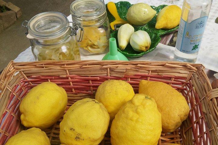 Sorrento Farm by Tuk Tuk: Cheese, Limoncello & Hands-On Pizza