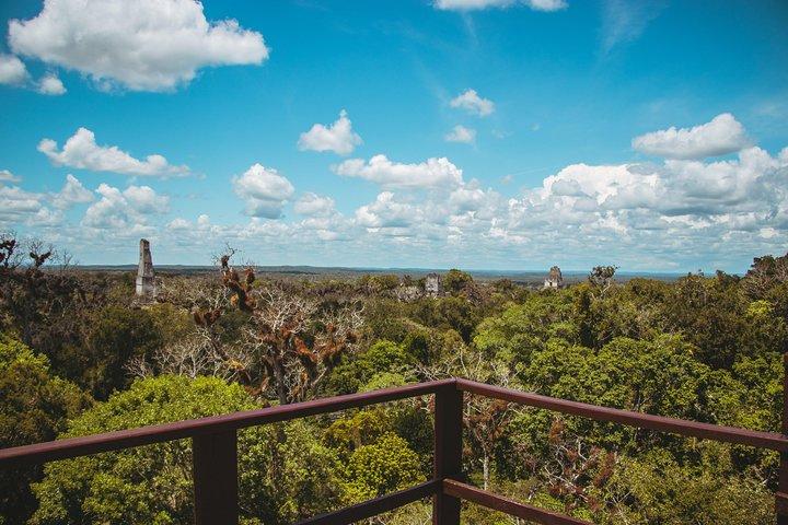 Tikal Tour From San Ignacio Belize