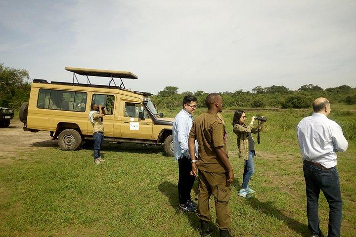 2 Days Akagera Wildlife Safari( pick up and drop off)