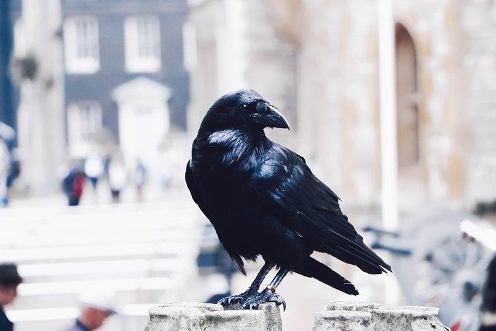 Private Tour London Highlights, entries St Paul's Cathedral, The Tower of London