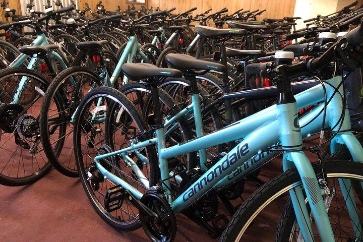 Brooklyn Neighborhoods Small-Group Bike Tour