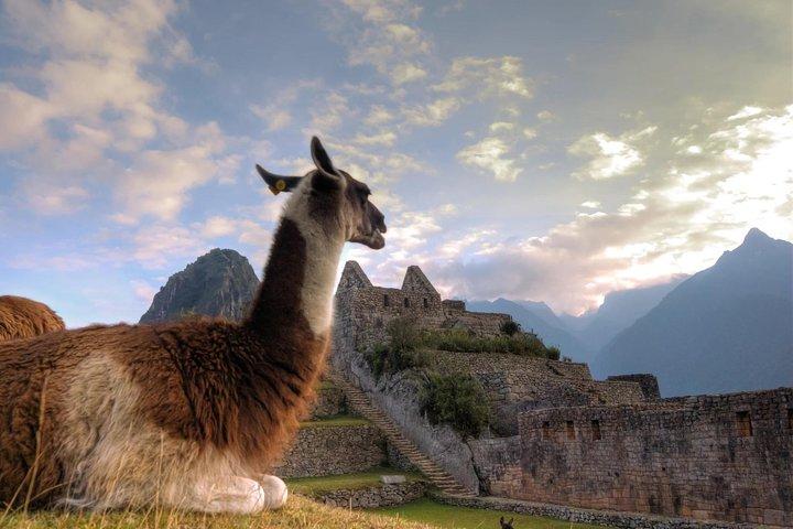Machu Picchu FULL DAY from Cusco