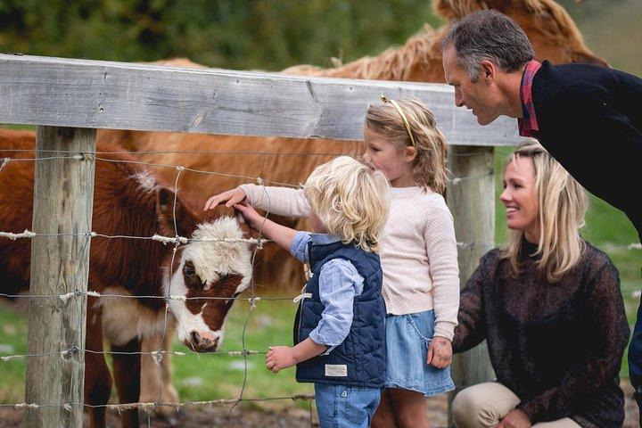 Queenstown Lake Cruise and Walter Peak Farm Adventure