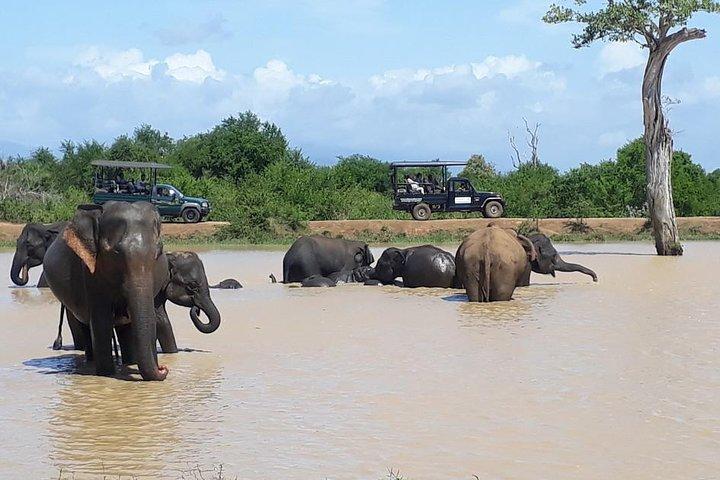 Day tour to Udawalawe from Colombo