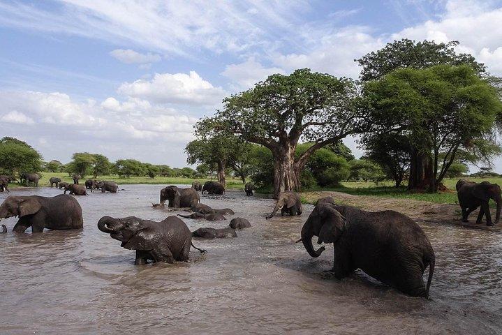 2-Days Safari Tarangire Park and Ngorongoro Crater