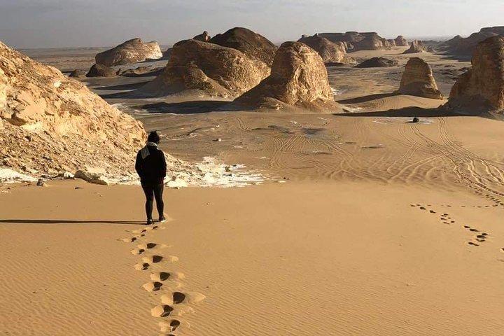 White Desert Safari