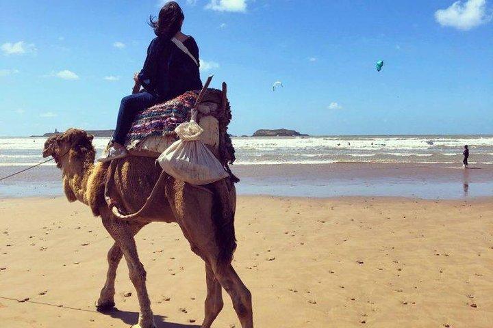 Day Trip From Marrakech to Essaouira