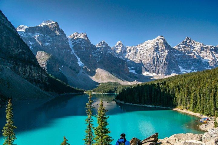 Hop-On and Hop-Off Banff Bus